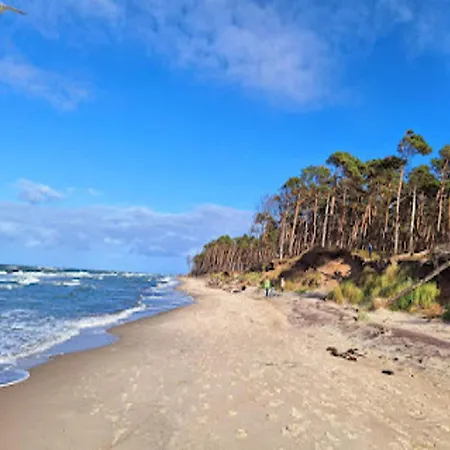 Am Bodstedter Bodden